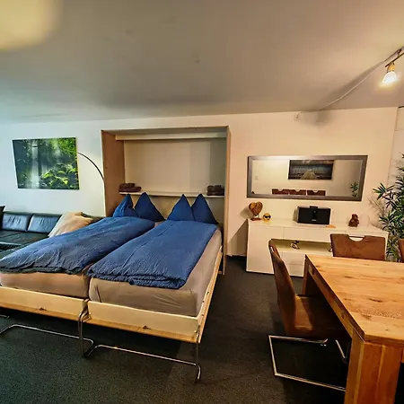 Grosszuegige 3 Schlafzimmer Mit Privatem Garten Neben Jakobshornbahn * Davos