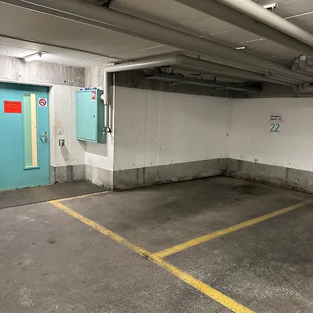 Grosszuegige 3 Schlafzimmer Mit Privatem Garten Neben Jakobshornbahn Apartment *