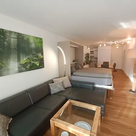 Grosszuegige 3 Schlafzimmer Mit Privatem Garten Neben Jakobshornbahn Davos